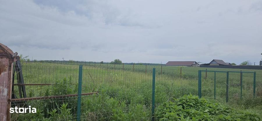Teren intravilan Moara Vlasiei imprejmuit si cu utilitati la poarta - 1
