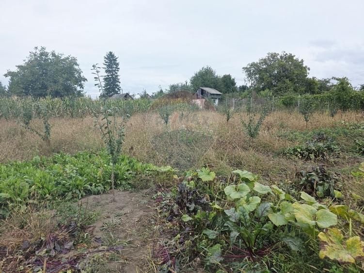 Casă cu livadă și teren generos – Girov - 49