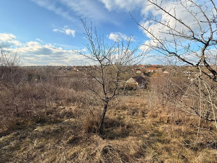 Teren cu deal, panoramă și potențial de investitie – Cornești - 2
