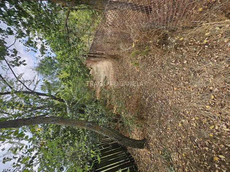 Gospodarie cu 2 case Comuna Trivale Mosteni, sat , la 30 km de Alexandria, jude?ul Teleorman 20 000