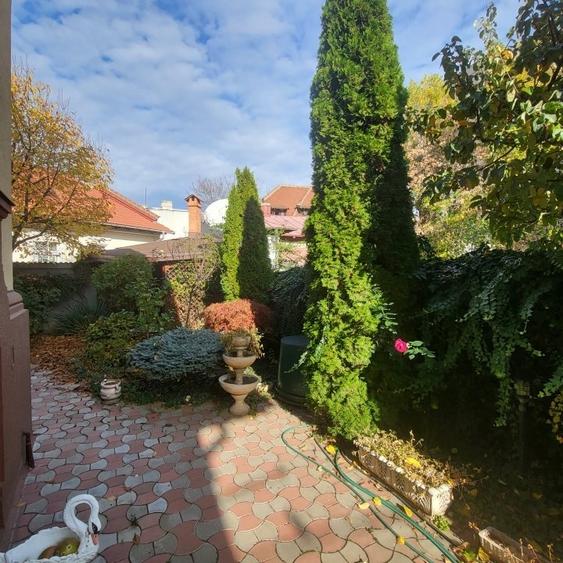 Vila boiereasca, superba, strada, linistita, nelipita de vreun alt imobil - 7