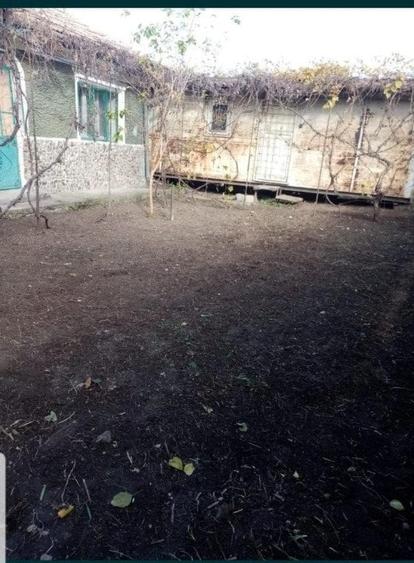 Casa la tara  de vanzare in Sitaru, teren de 675 mp, suprafata casa de 90 mp - 9