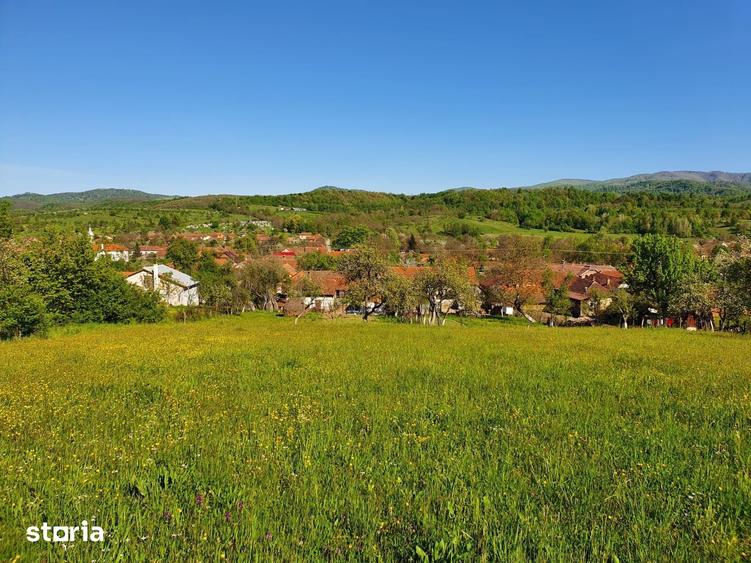 Teren de 3040 mp, în Tomești