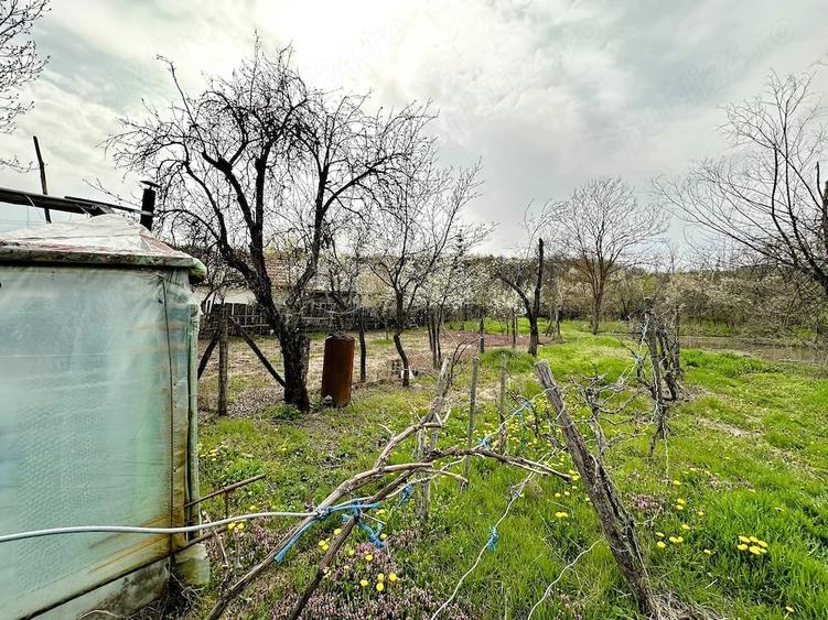 Casă cu Teren 2470 Mp în Mârțești