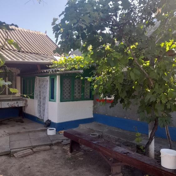 Casa de vanzare Sat Lunca, jud.Tulcea - 3