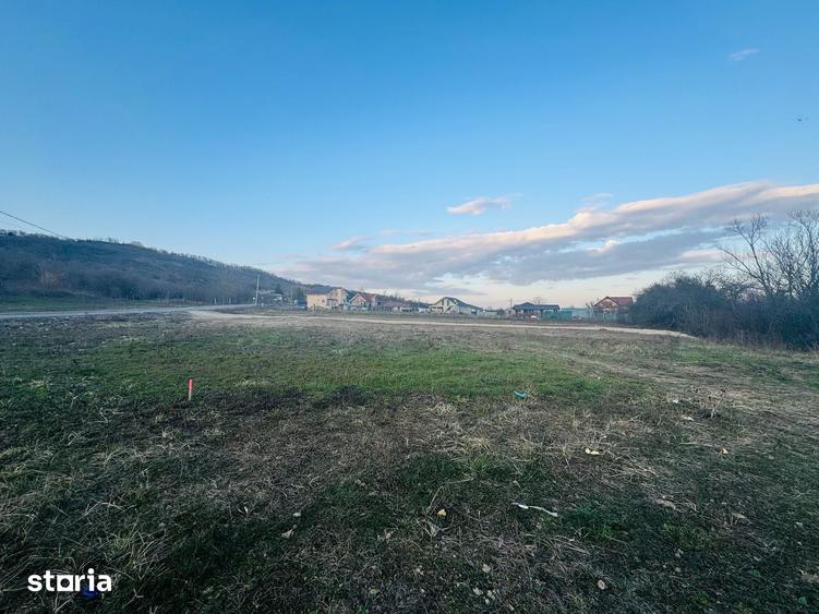 Teren de 658 mp, în Podgoria
