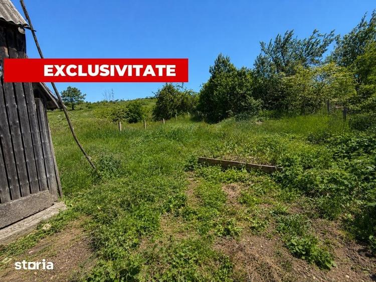 Casă cu 3 camere cu Teren 1577 Mp în Sava