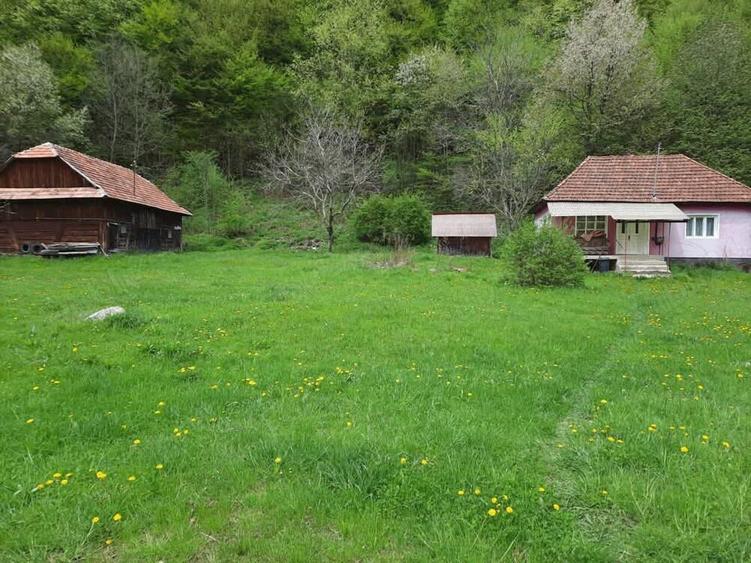 Casa ?i teren de vanzare - 3