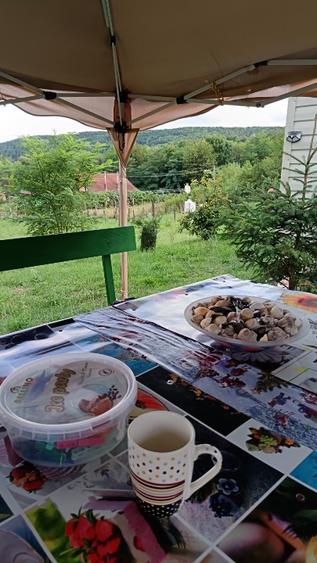 Vind teren cu cabană utilitati arges - 6