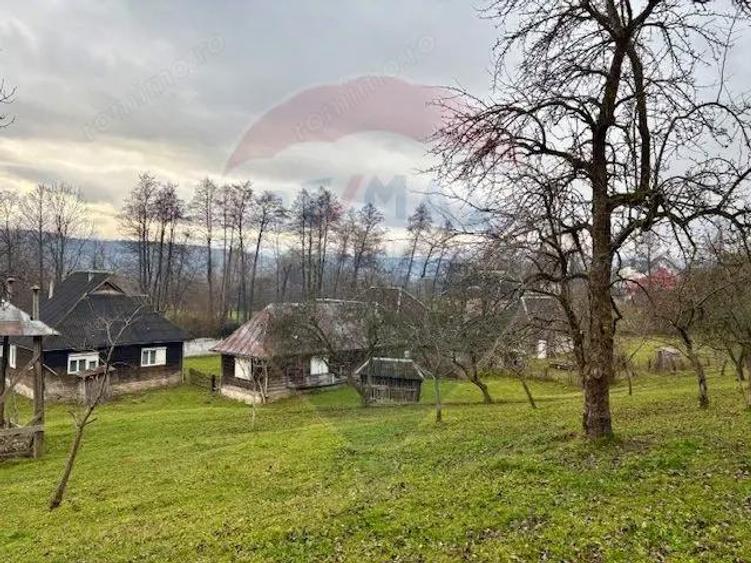 Casa traditionala+anexe gospodaresti in Giulesti Maramures - 4