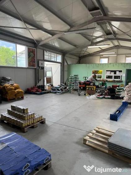 Spatiu comercial 280 mp + 700 mp curte, Filiasi - 5
