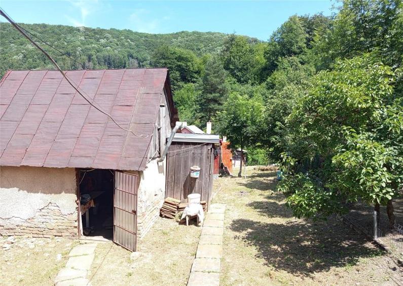 Anina, Sigismund, Casa 4 Incaperi, 1439mp Teren, ZERO Comisi - 14