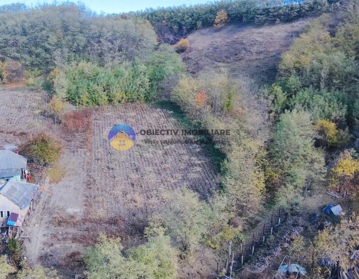 Teren de vanzare 11.766 mp – Costisa, judetul Neamt - 11