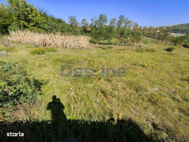 Casa langa PADURE + anexe + 6400 mp TEREN intravilan - sat HARPA?E - 3