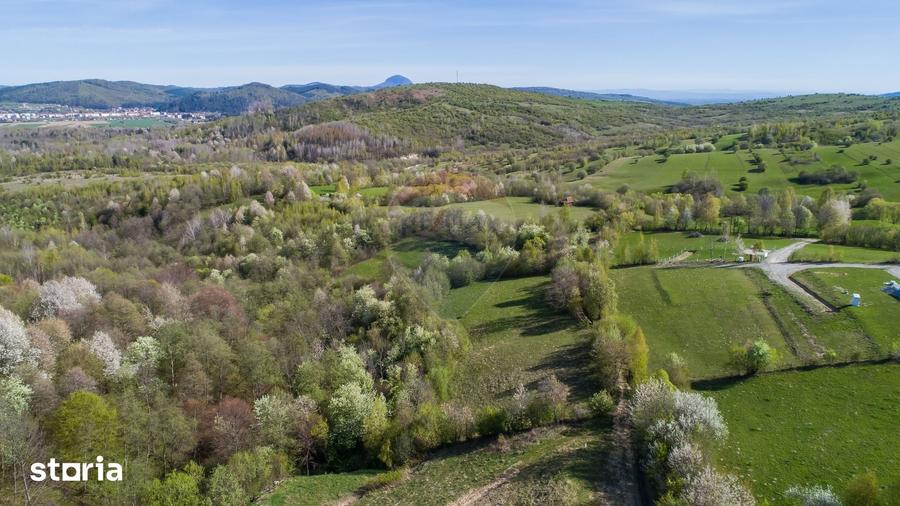 Teren de 6800 mp, în Tohănița