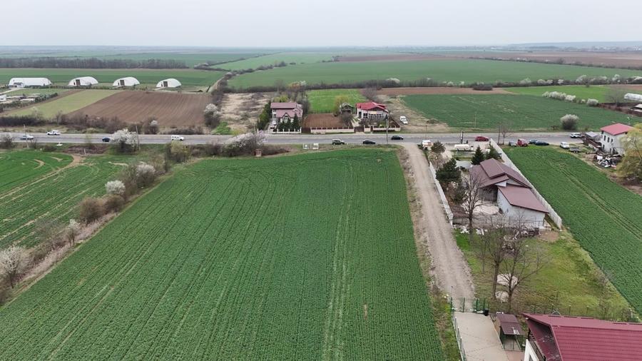 0% | Teren intravilan, 4563 mp, front 25 m, utilitati | Potigrafu PH - 6