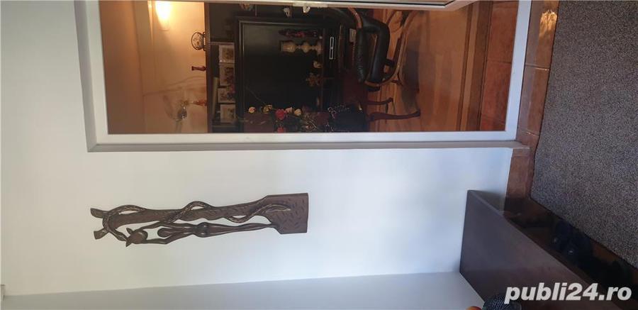 Proprietar vand casa in Topraisar- Constanta - 2