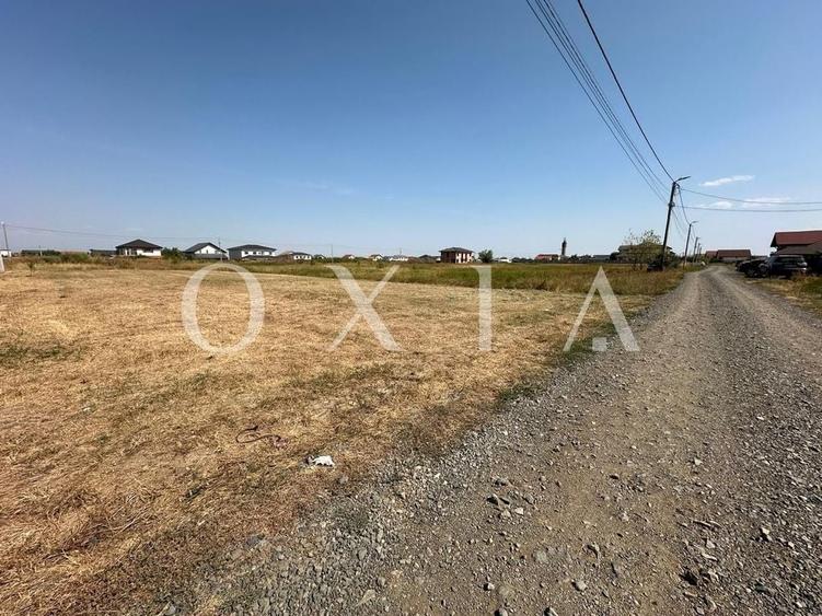 BX110 Teren Mosnita Noua-Front 19 m-Utilitati - 2