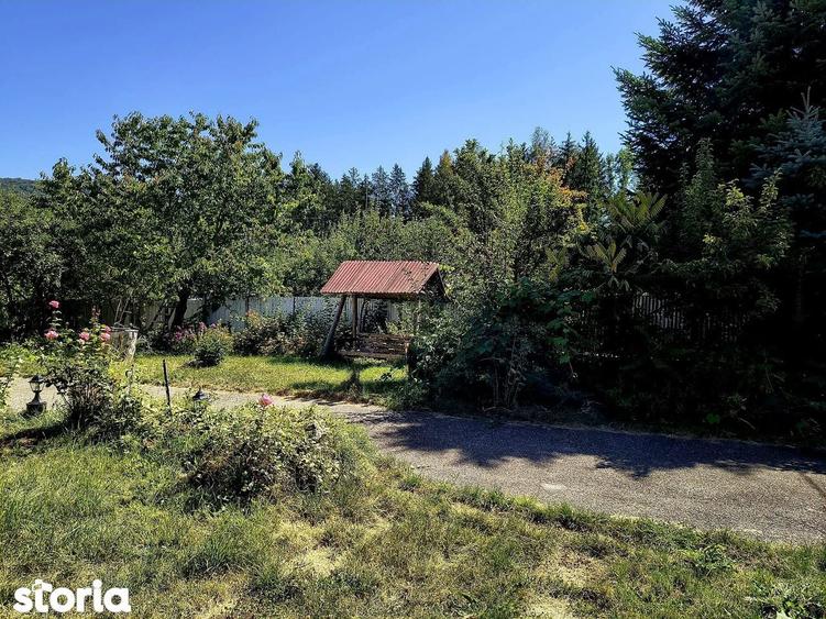 Casa de vacanta, Bradet-Brasov, Oportunitate Investitie! - 3