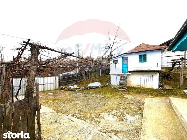 Casa 3 camere de vanzare Garleni, sat Lespezi, Str. Frunzei - 5