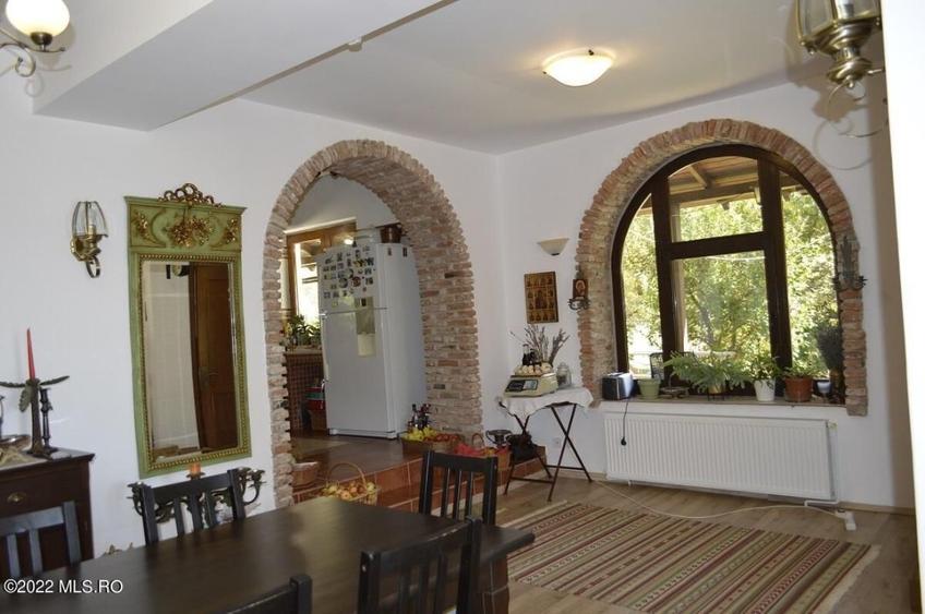 Topoloveni - Conacul Ion Mihalache, Domeniu pe 5 Hectare! - 21