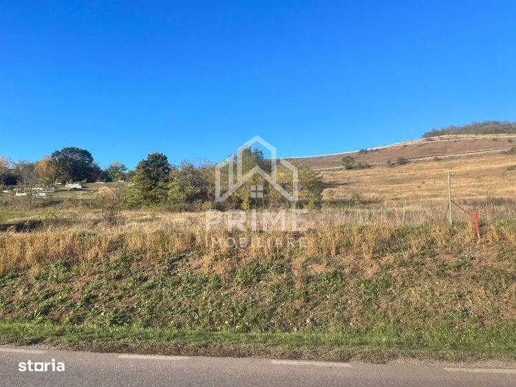 Teren intravilan de vanzare Hapria, jud. Alba | 700 Mp . - 1