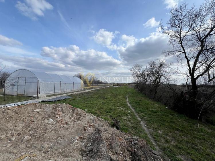 Vilă modernă P+1 | 4 dormitoare | 1300mp teren | Pompă căldură |45 min București - 6