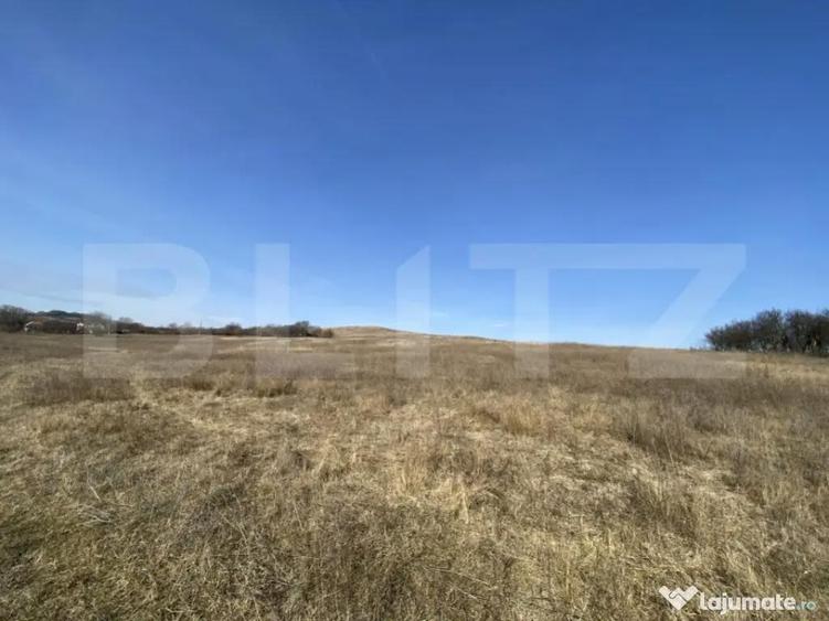 Teren extravilan in suprafata de 140551 mp in loc. Recea - 7