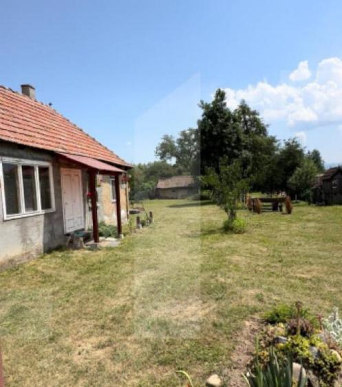 Casa taraneasca in inima naturii - 7