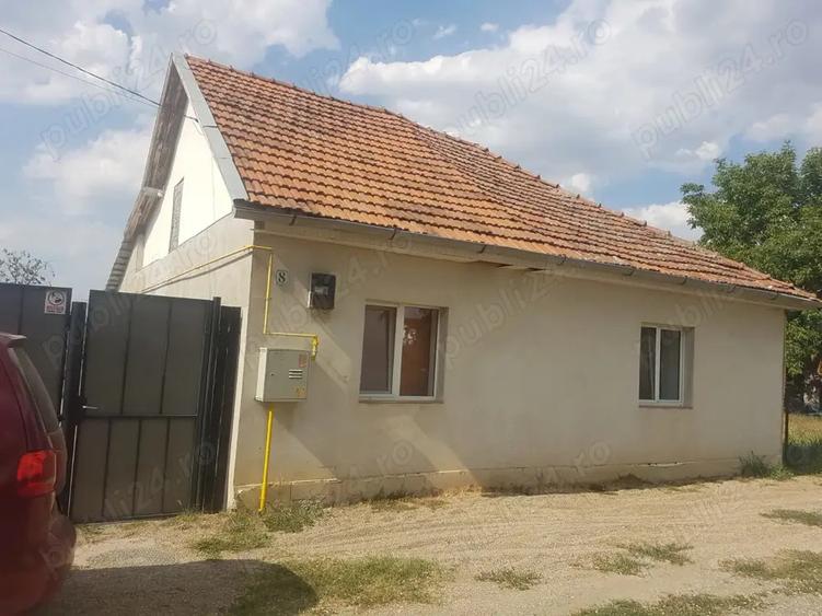 Casa de vinzare Pecica - 4