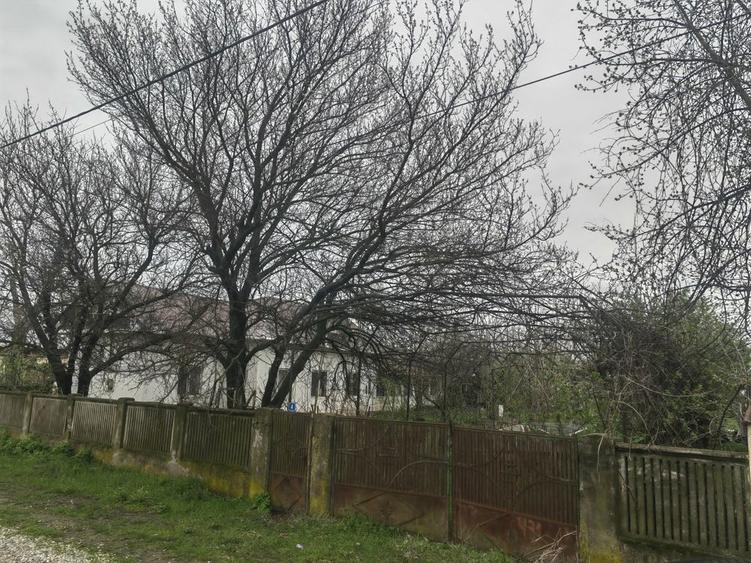 Teren de vanzare - 2