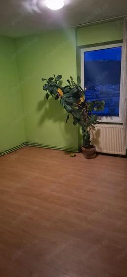 Vand apartament 2 camere in Targu Mures - 6