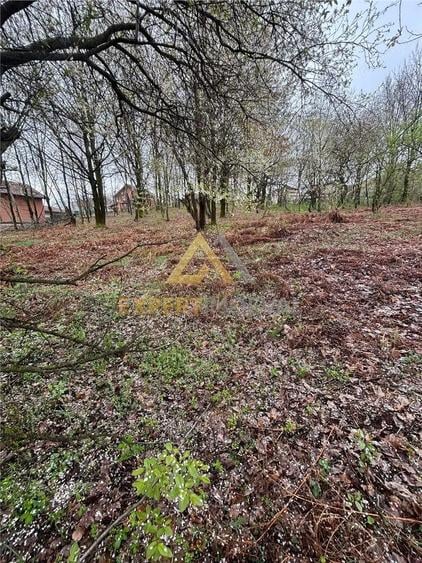 Teren intravilan in spate la Castel Transilvania 1.000mp - 1