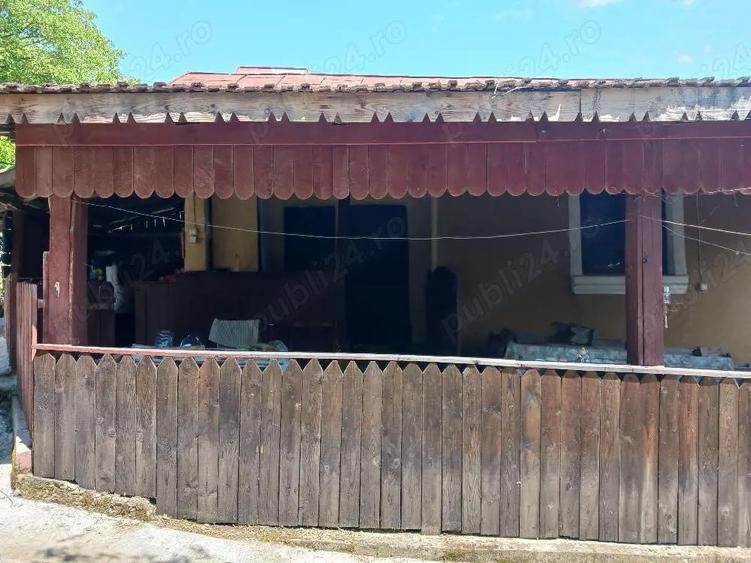 Vand gospodarie sat Busu com. Grecesti Dj - 6