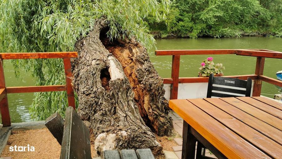 Pensiunea,Afacere la cheie in Delta Dunarii, Uzlina - 9