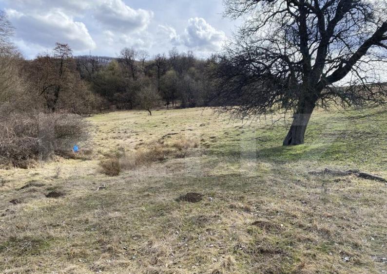 Teren extravilan in suprafata de 7500 mp la poalele Mesesulu - 7