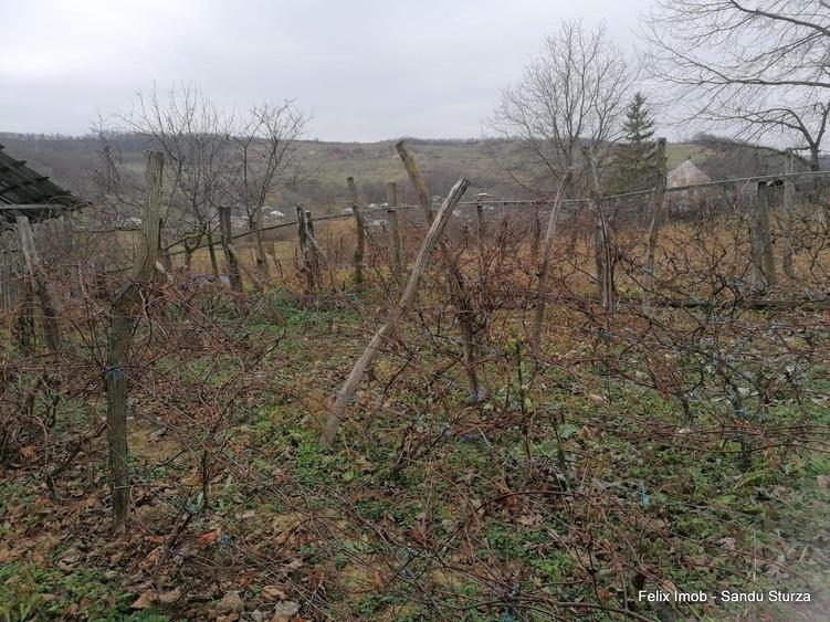 Lipova, gospodarie completa, 2 case si 2900 mp teren - 4