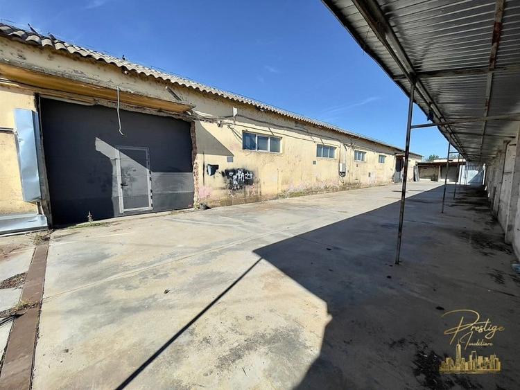 Hala cu birouri - 570 mp,  de vanzare in Palota - Bihor - 5