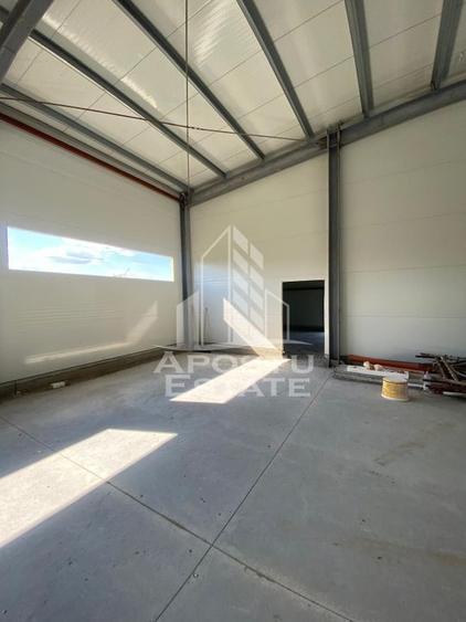 Hala noua de inchiriat 550 mp, birouri, parcare, Sacalaz. - 4