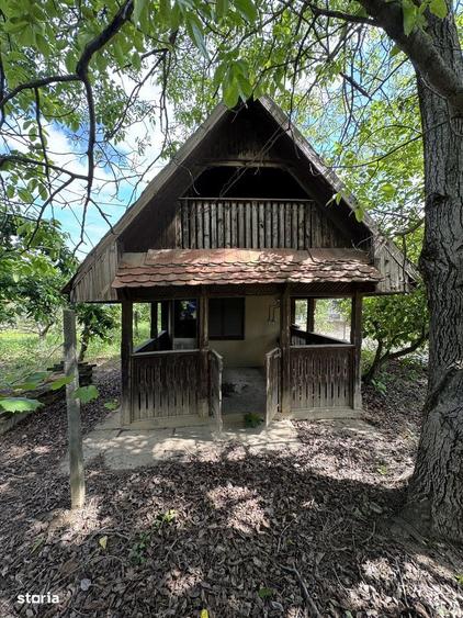 Teren intravilan / gradina cu cabanuta , zona Bercu Rosu - 2