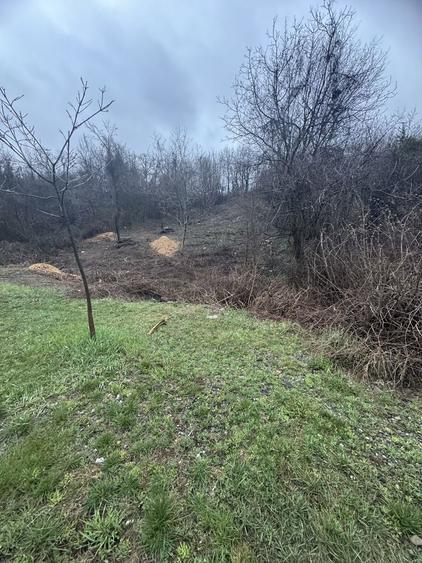 Schimb teren in Campina cu autoturism - 2