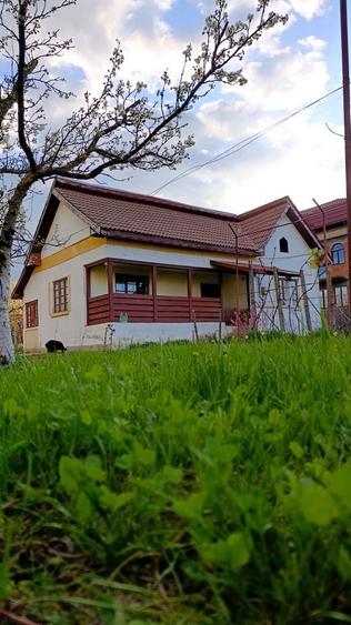 Casa si teren Breasta - 2