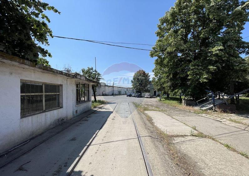 Teren | Platforma industriala 35.000 mp, Chiajna Centur... - 2