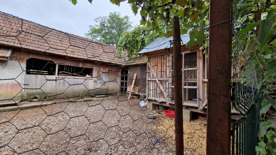 Dau in chirie sau vand casa in Valea Larga, 1000 m.p curte si gradina - 1