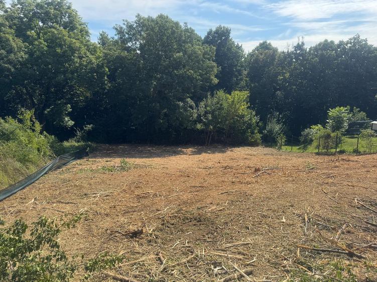 1000 mp , Bucium spre Barnova , in padure , intre case - 2