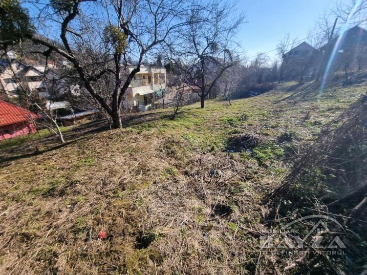 Valea Rosie, teren 820 mp intravilan - 2