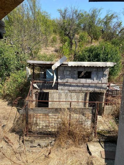 Casa de vanzare Curtisoara - 4