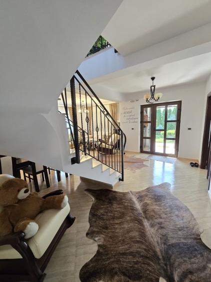 Casa de Vis, Serbanesti - 12