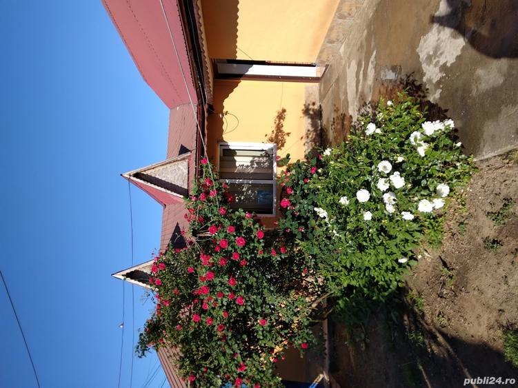 casa de vanzare - 2