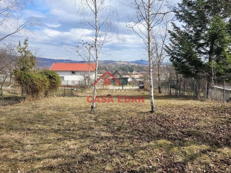 Teren intravilan in Poiana Campina --3676 mp--8e - 14